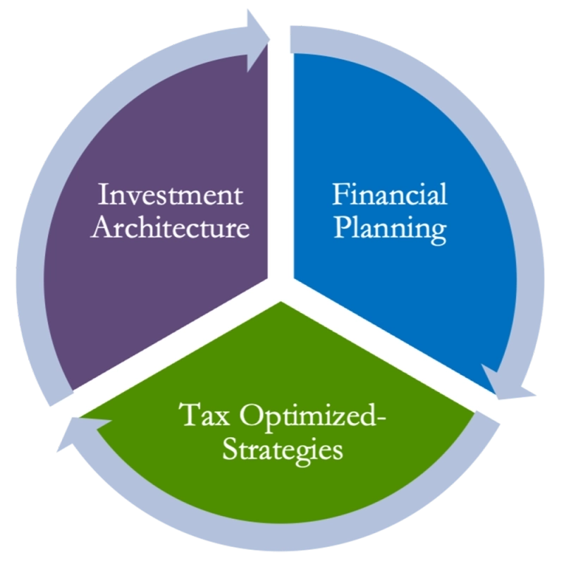 graphic showing holistic services